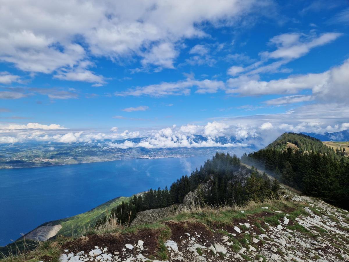 Appartement Tout Confort Montagne Et Lac Leman Толлон Экстерьер фото
